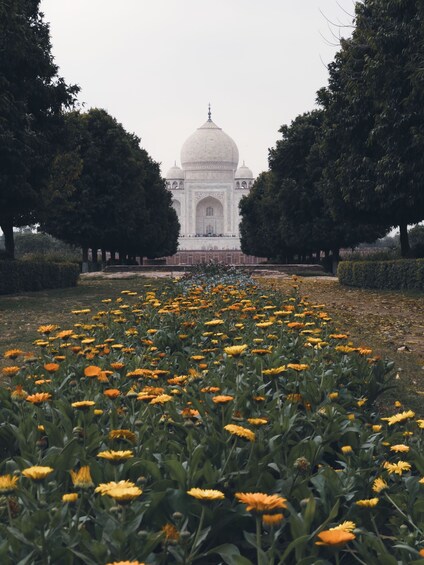 Half-Day Private Agra Tour with Exclusive Taj Mahal Sunset View 5