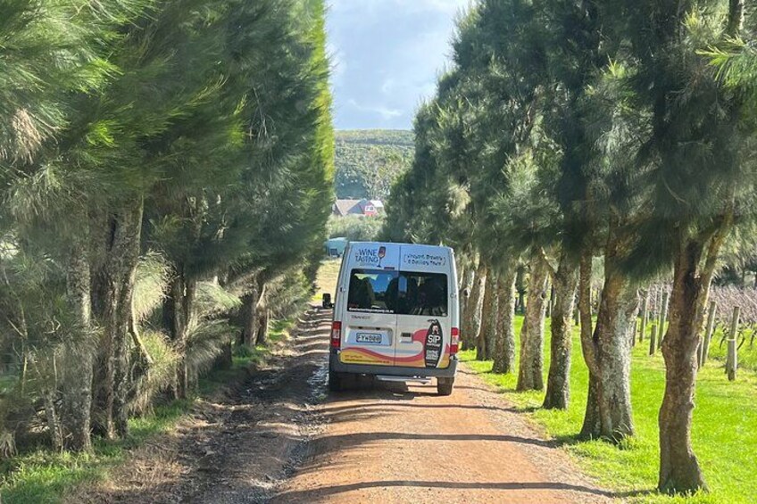 On our way to Te Motu Vineyard 3