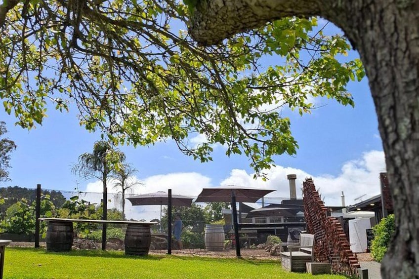 The Boutique Experience: Waiheke Best Cellar Tour (11 guests max) 4