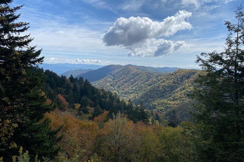 A mountainous landscape with dense forests and a clear sky. 2