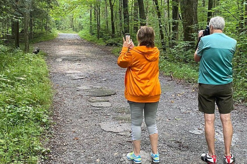 Two people taking photos on a forest trail. 3