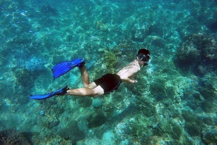 A person snorkeling underwater with blue fins and a snorkel. 4