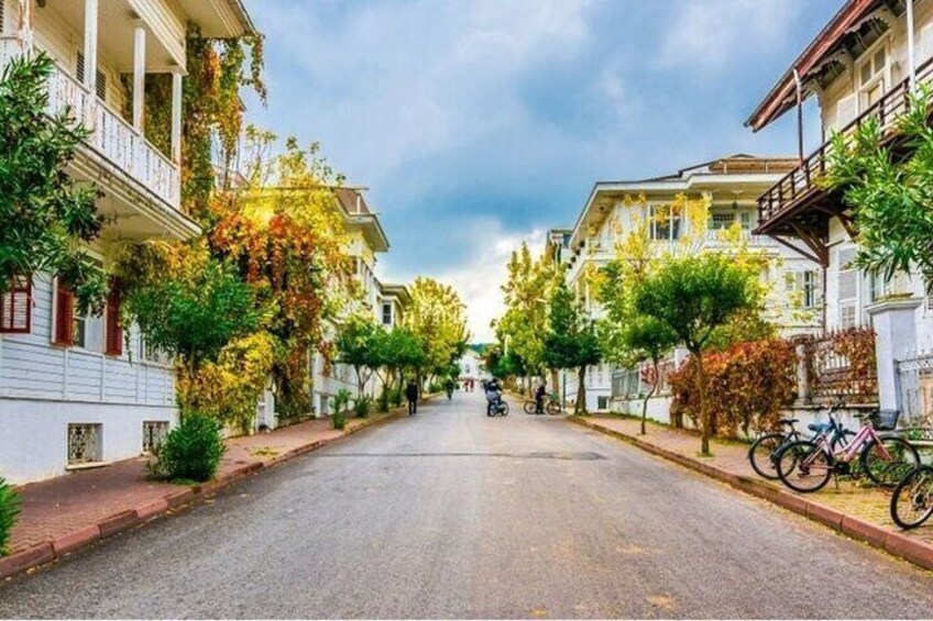 Island streets intertwined with nature 5