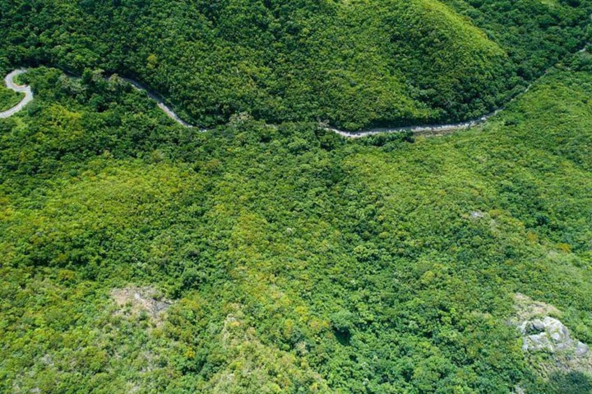 Tuk-Tuk Adventures Rainforest and Beach Hopping Tour 3