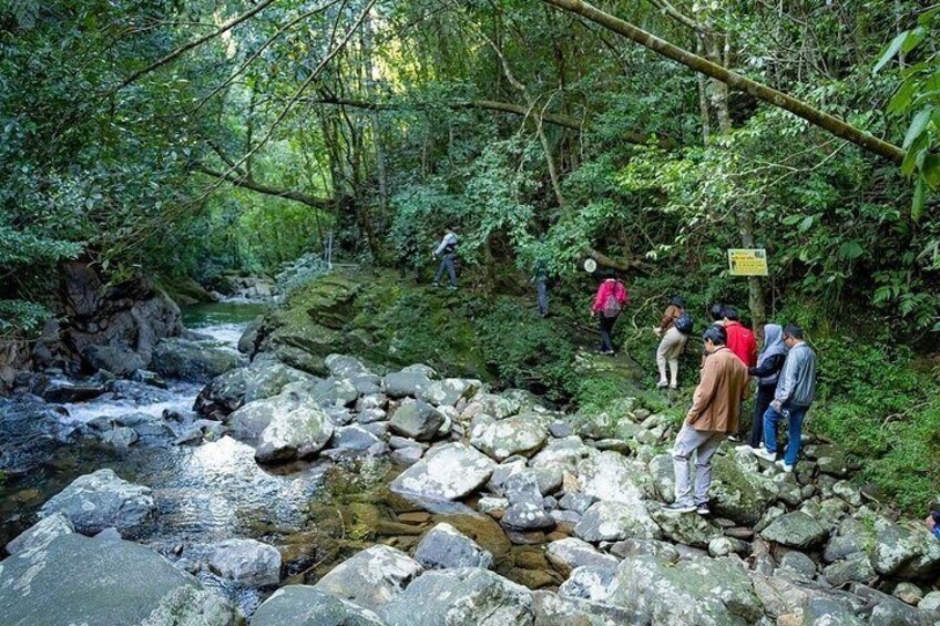 Bach Ma National Park Trekking Tour 1 Day From Hue City