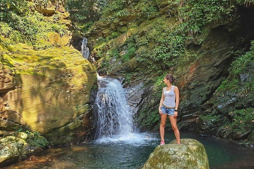 Eine Frau steht auf einem Felsen neben einem Wasserfall in bewaldeter Landschaft. 2