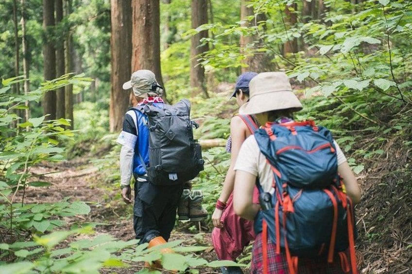 Zwei Wanderer mit Rucksäcken im Wald. 1