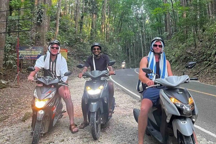 Three people on motorcycles on a forested road. 4