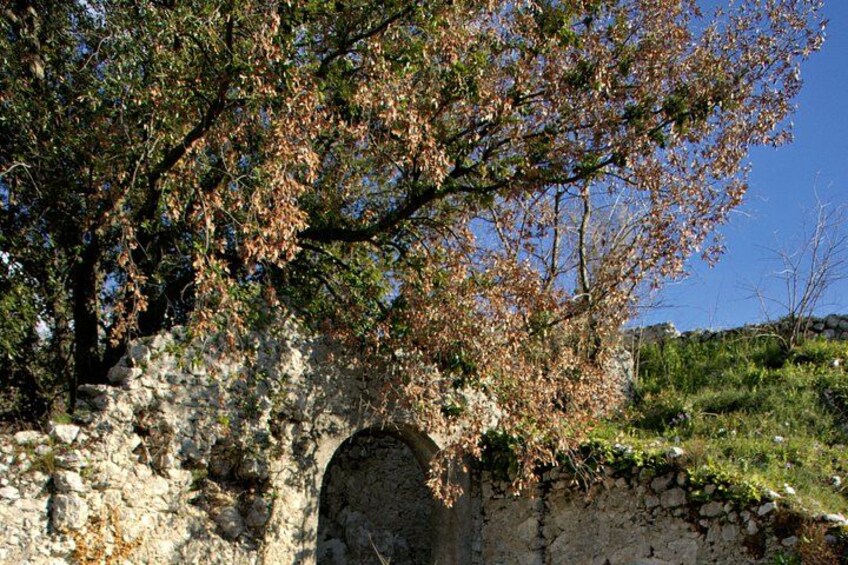 Private Luxury Tour of Newgrange and The Hill of Tara 5