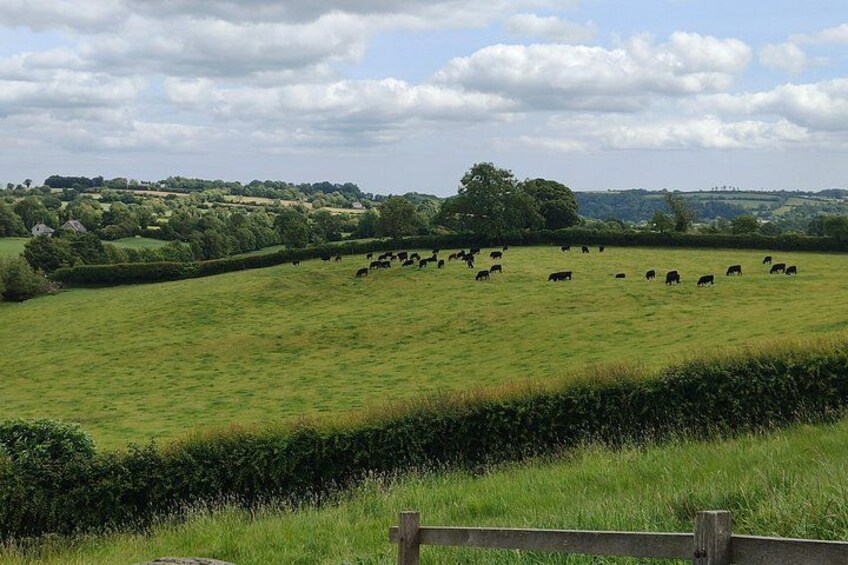 Private Luxury Tour of Newgrange and The Hill of Tara 4