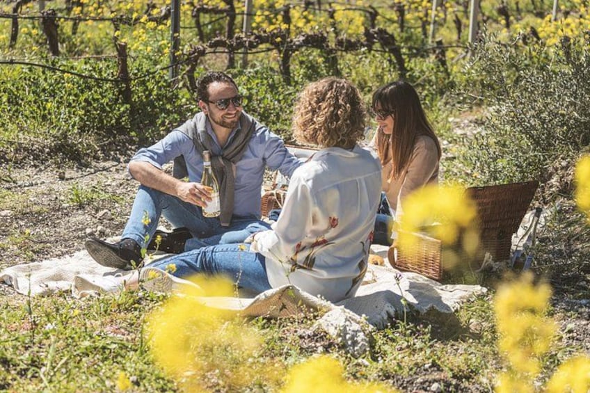 Three people sitting on a blanket in a vineyard with a basket and a bottle. 2