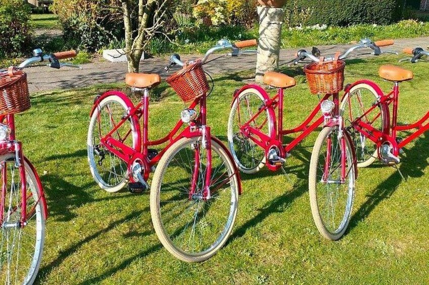 Different sizes of bikes 3