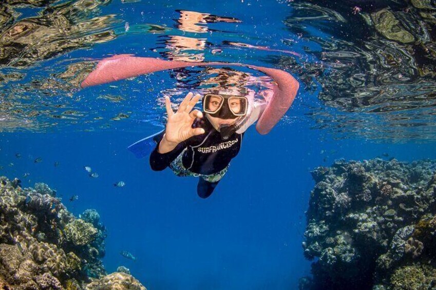 Panorama Semi Submarine Snorkeling Cruise in Makadi Bay