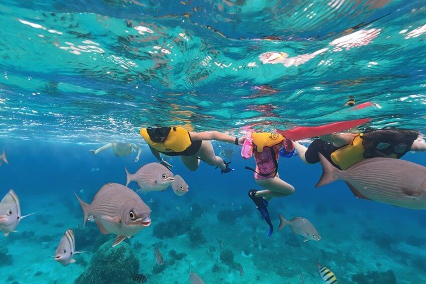People snorkeling underwater with fish. 5