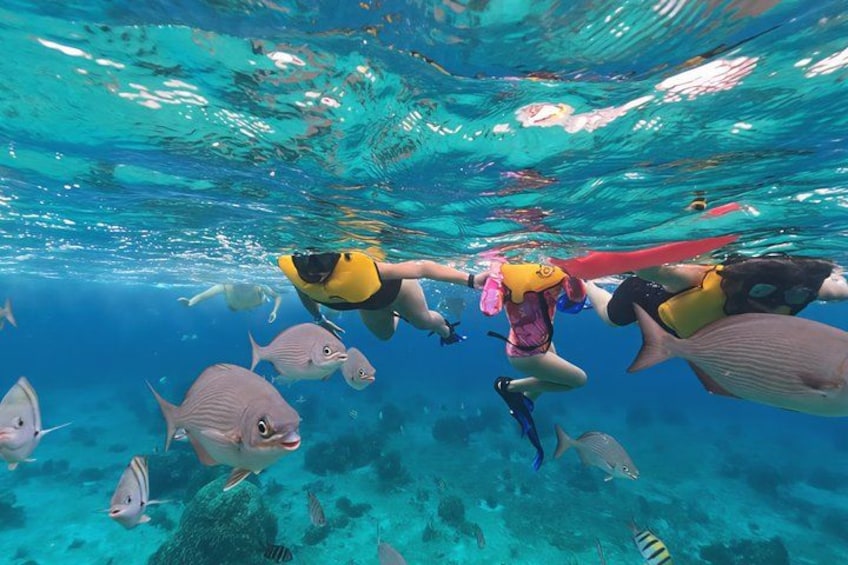 ATV 4×4+Cenote+Snorkeling+Beach Club+ Lunch+Sabores de Cozumel 5