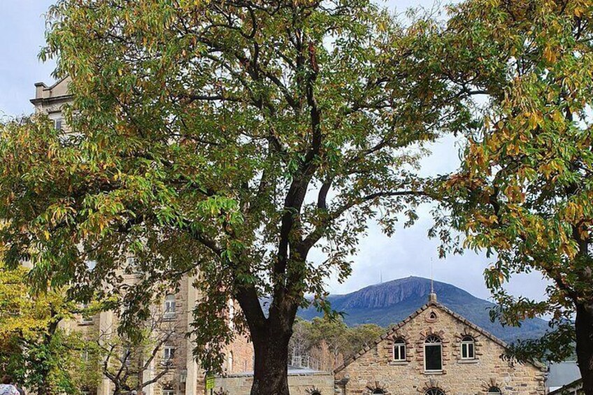 Ein Steinhaus mit einem Berg im Hintergrund. 4