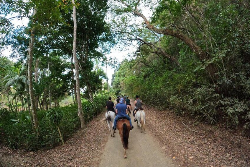 Jaco Horseback Riding Adventure Tours 1
