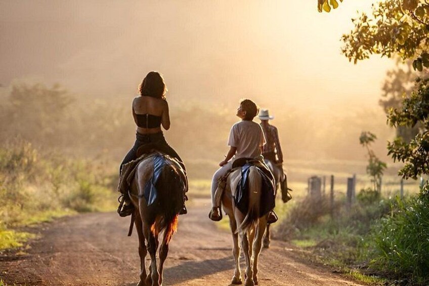 Jaco Horseback Riding Adventure Tours 4
