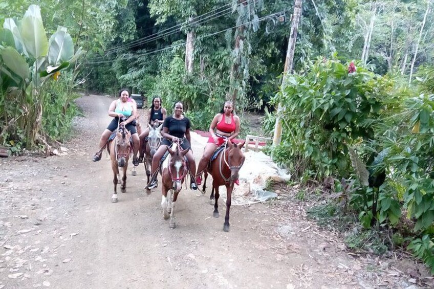 Cuatro personas montando a caballo por un sendero de tierra rodeado de vegetación. 2