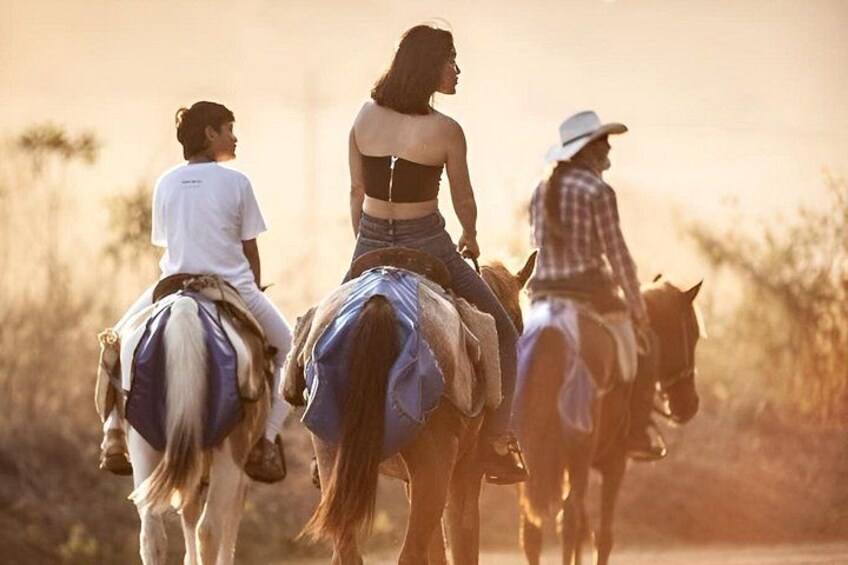 Jaco Horseback Riding Adventure Tours 5