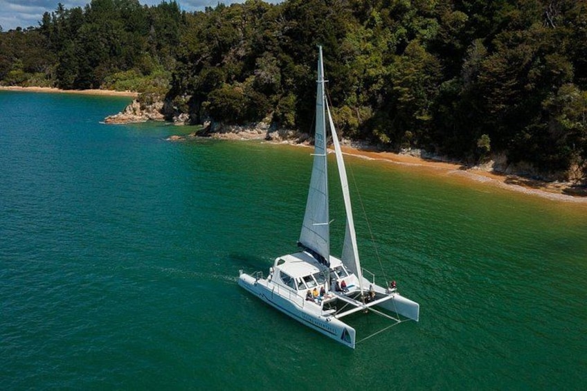 Cruise, Walk, and Sail in Abel Tasman National Park 5