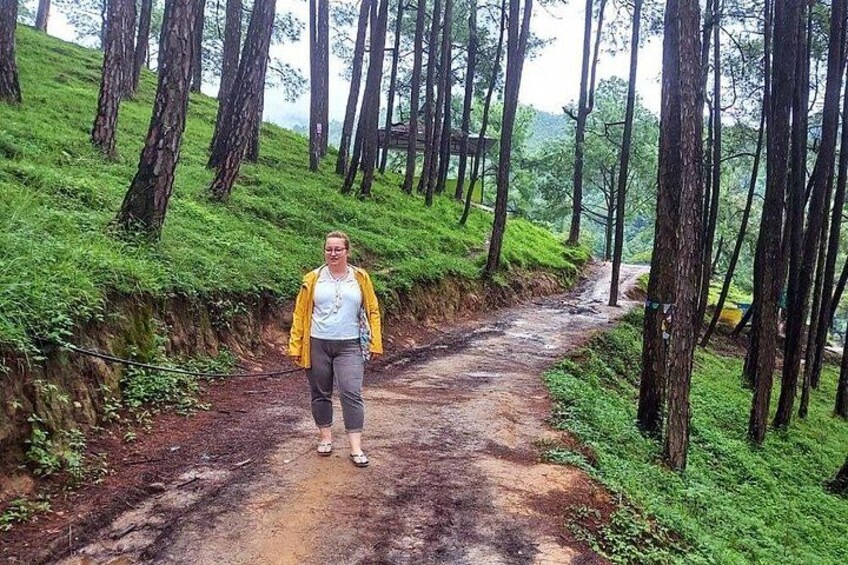 Una persona parada en un sendero de tierra en un área boscosa, con árboles altos y vegetación verde. 5