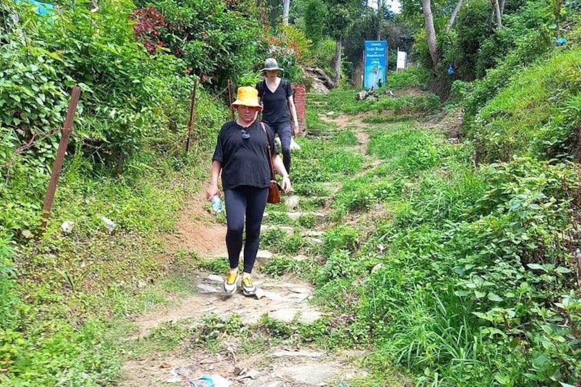 Dos personas caminando por un sendero de tierra rodeado de follaje. 4