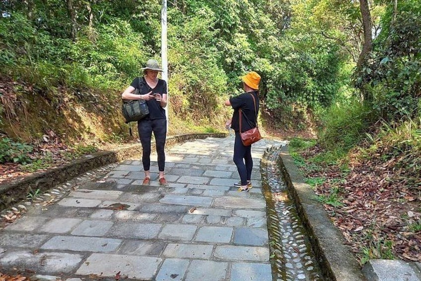 Dos personas caminando por un sendero de piedra rodeado de vegetación. 2