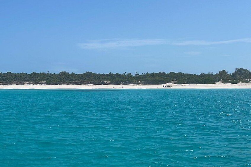 Private Eleuthera Island: Swim With Pigs, Turtles & Stingrays 2