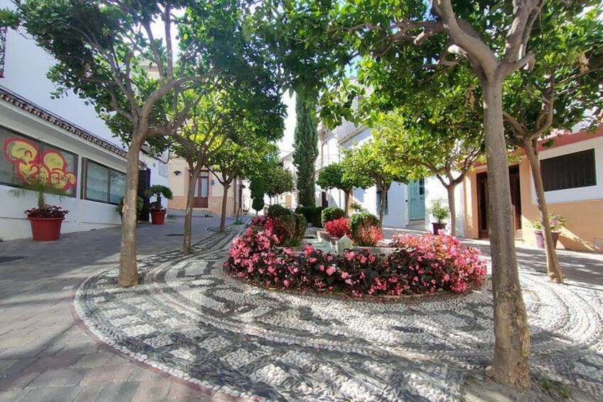A paved courtyard with trees, flowering plants, and a patterned ground. 3