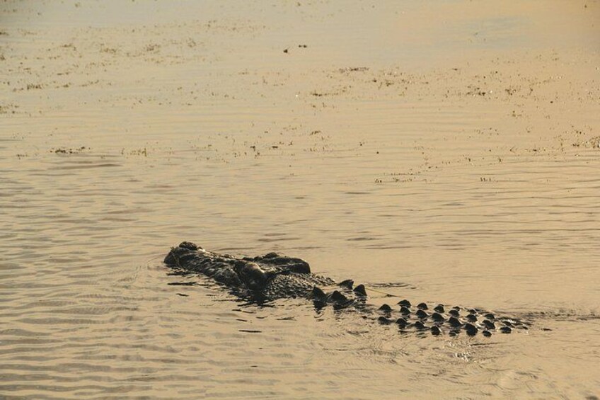Credit: NT Tourism 5
