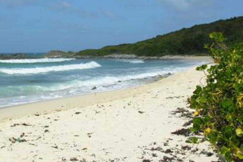 Bay Petites Cayes 2