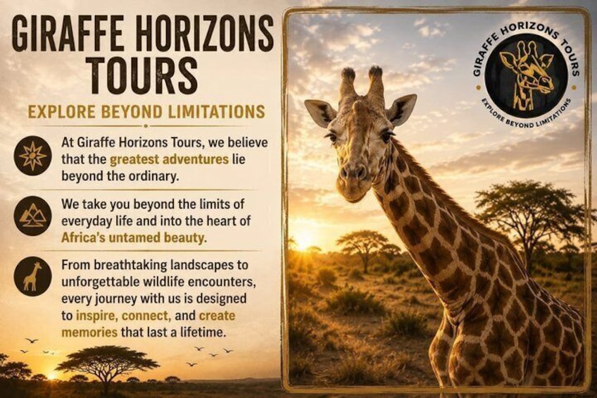 Culinary explorations: Flavors on a 3-Hour Food and Drink Tour. 5