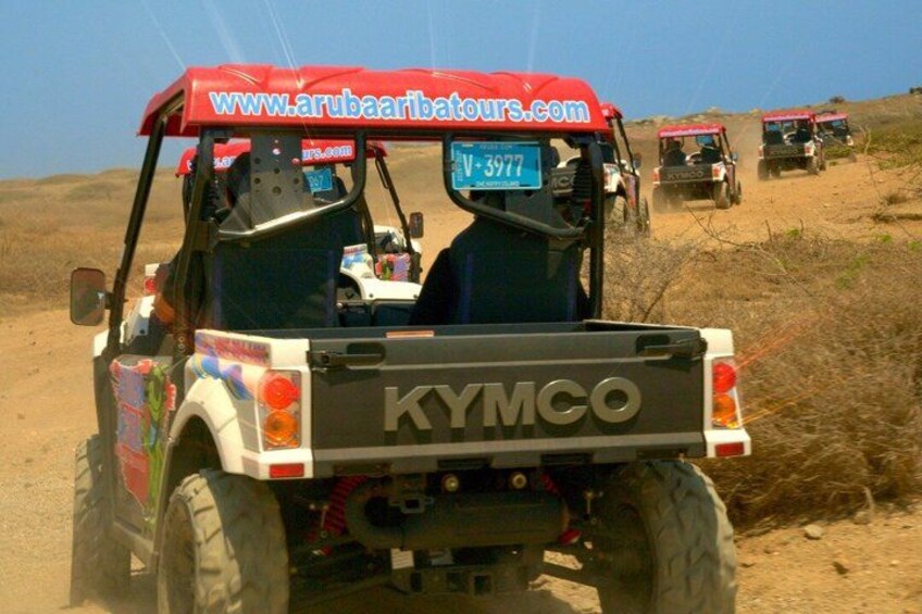 2-Seater UTV Island Tour in Aruba 3
