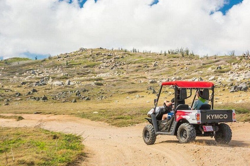 Aruba Off Road UTV Island Tour: Rugged Coastline & Culture 2
