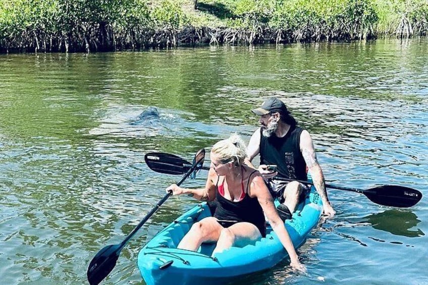 Dos personas haciendo kayak en un río tranquilo bordeado de manglares. 3