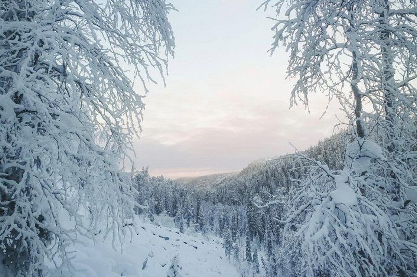 Rovaniemi: Korouoma Canyon & Frozen Waterfalls Tour with BBQ 3