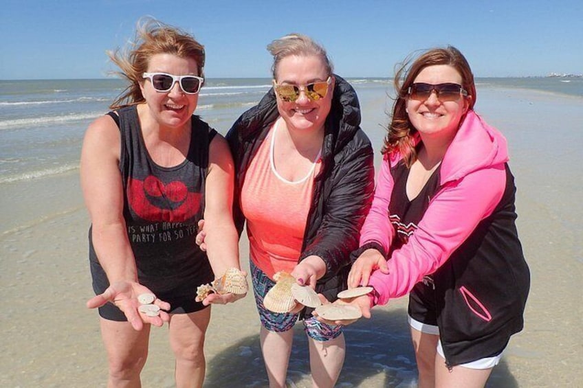 Gulf currents bring in a lot of shells, including sand dollars 3