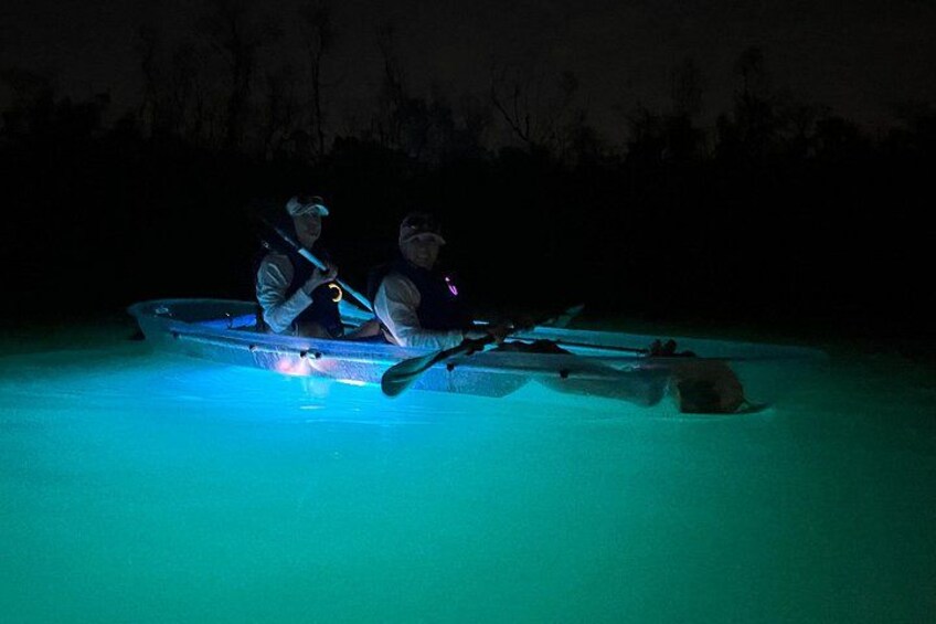 CLEAR Kayak Sunset & Light Tour - Bonita Springs / Ft Myers Beach 3