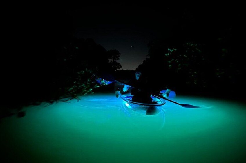 CLEAR Kayak Sunset & Light Tour - Bonita Springs / Ft Myers Beach 1
