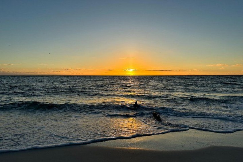 Looking west from the island 2