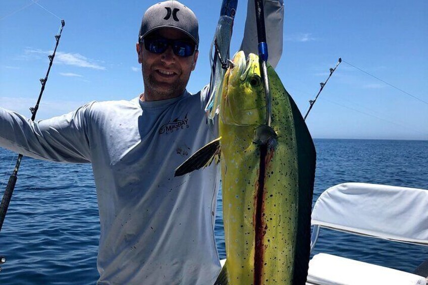 Mahi mahi