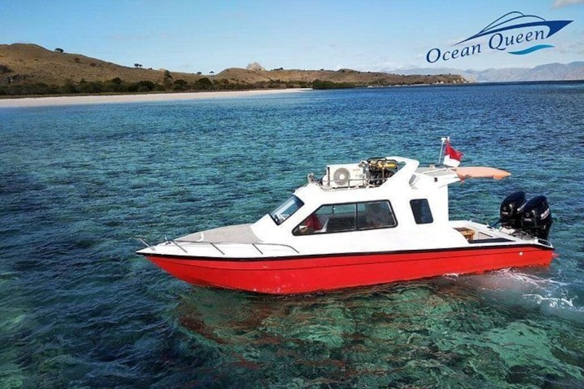 Red R01 3