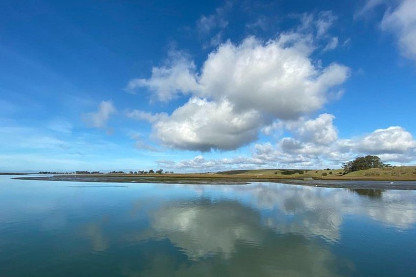 A calm lake with a clear reflection of the sky and clouds, surrounded by grassy fields and a distant tree. 2