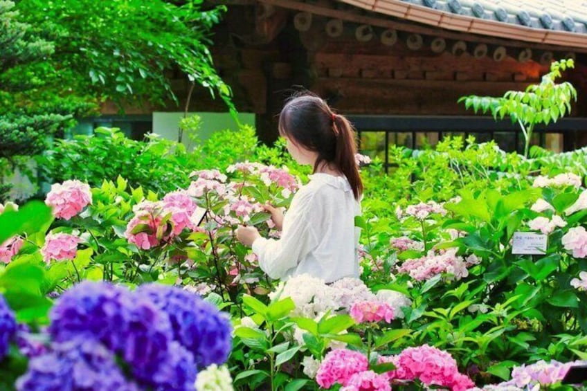 A person tending to flowers in a garden with a traditional building in the background. 1