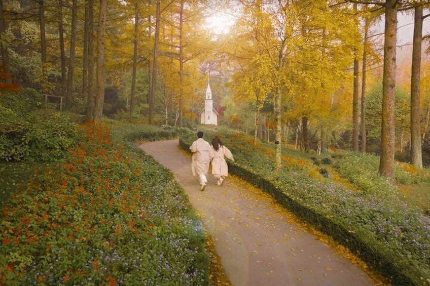 A pathway through a park with trees and a white building in the distance. 3