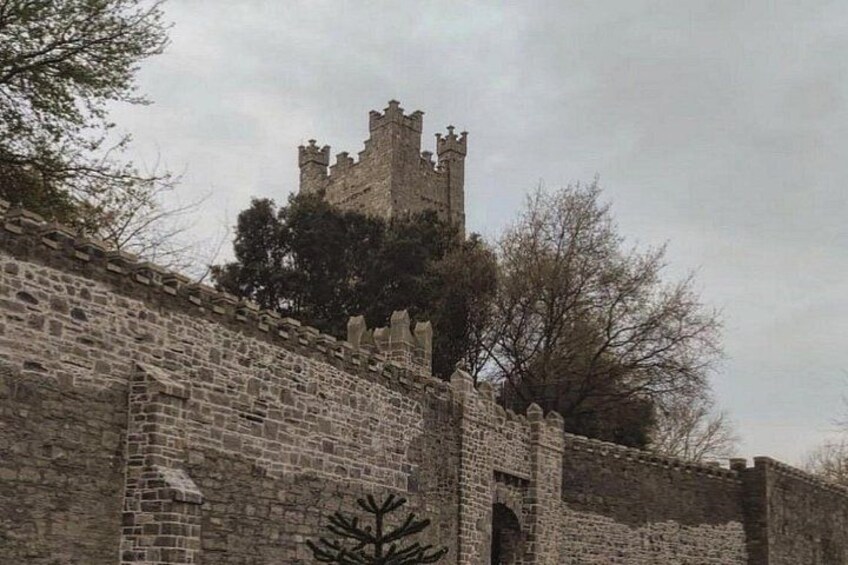 Walking Tour of Dublin’s Viking/Medieval Quarter with a Viking 4