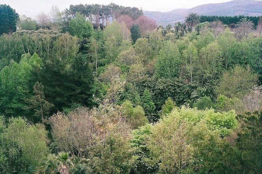 Magical and Exclusive Private Visit to the Fonte Baxa Garden, Luarca 5