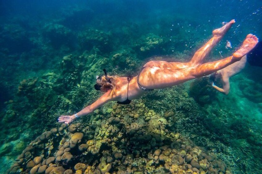 Une personne nageant sous l’eau, près d’un fond marin rocheux. 3