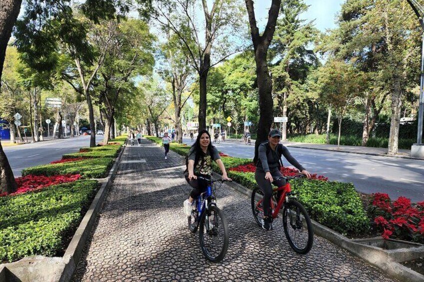 Bicycle Tour - Mandatory places in Mexico City